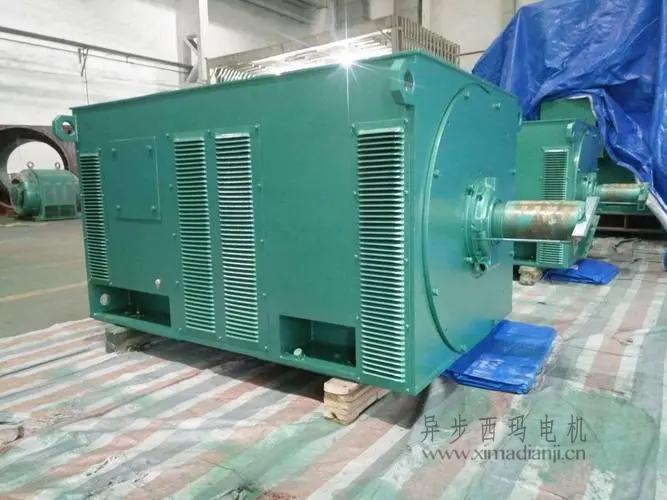 西瑪電機Y5603-10 560KW <a href=http://www.cai668.com.cn/new/new-47-621.html target='_blank'><a href=http://www.cai668.com.cn/new_tags_225.html target='_blank'>10kv高壓電機</a></a>